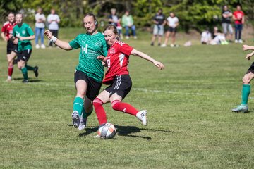 Bild 363 - F SG NieBar - IF Stjernen Flensborg : Ergebnis: 2:0